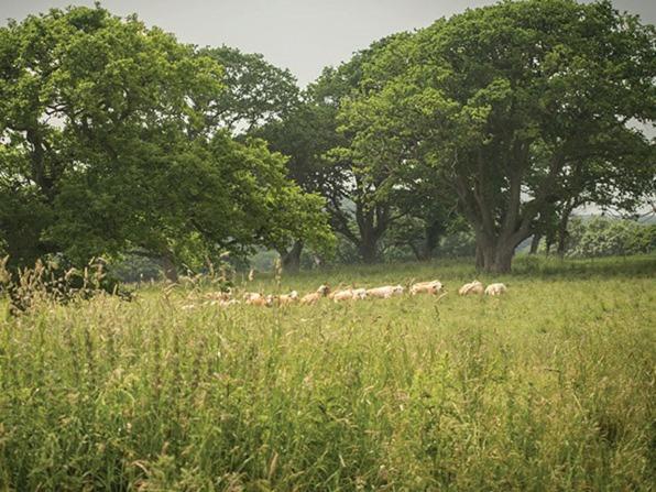 Bed and Breakfast The Walhampton Arms Lymington Exteriér fotografie